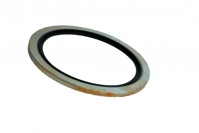 Hovedbilde BS-PAKNINGER BSP ( dofty )